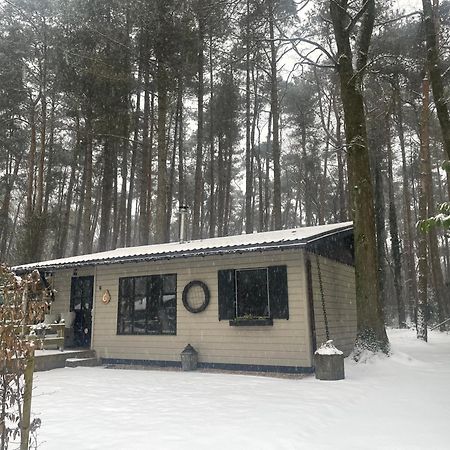 Chalet Sint Zutendaal Exteriör bild